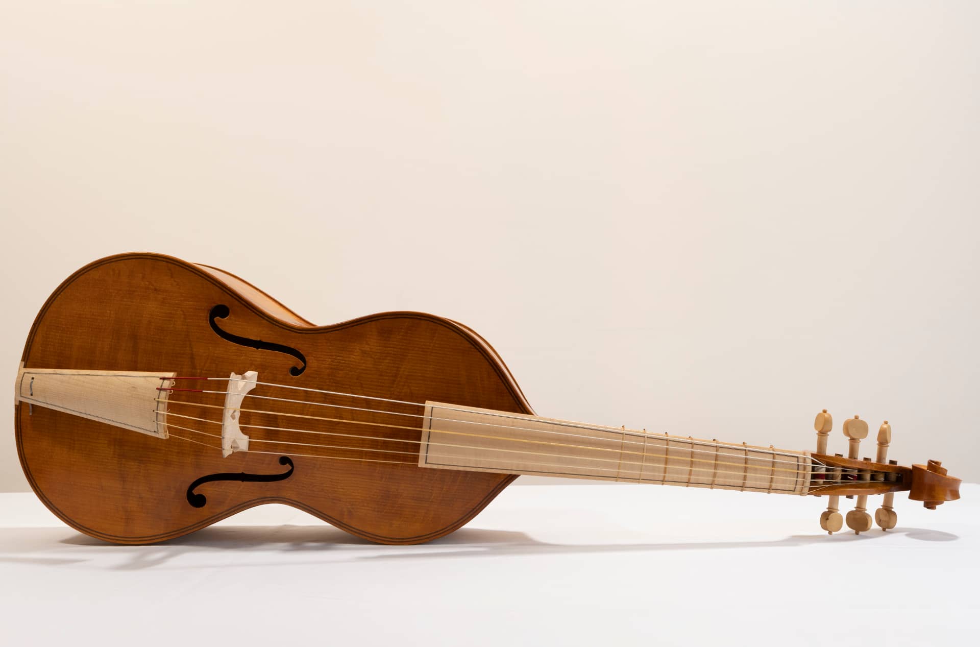 Viola da Gamba di Massimo Salcito