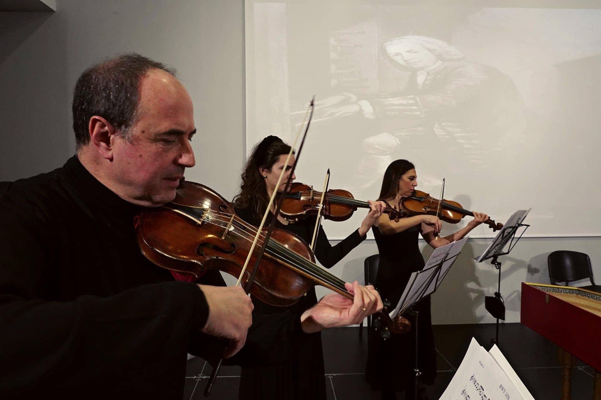 Archi Il Migliarino Piero Meldolesi violino